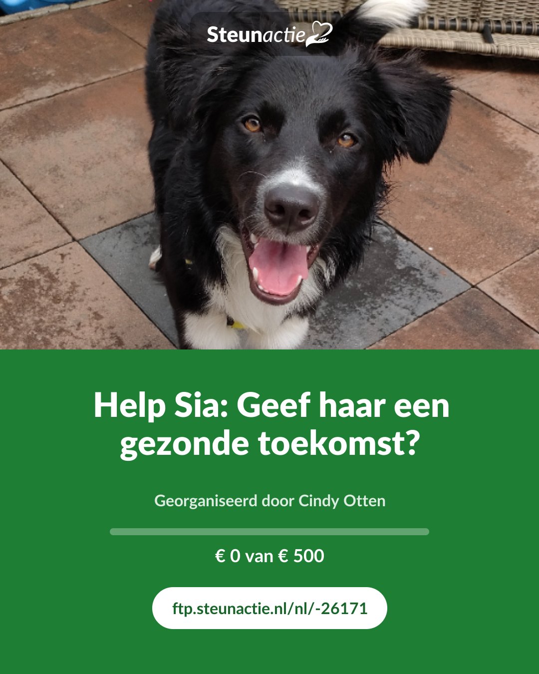 Voorbeeld van de afbeelding