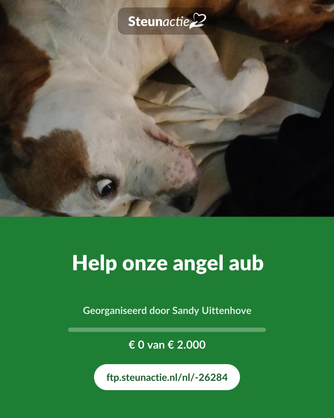 Voorbeeld van de afbeelding