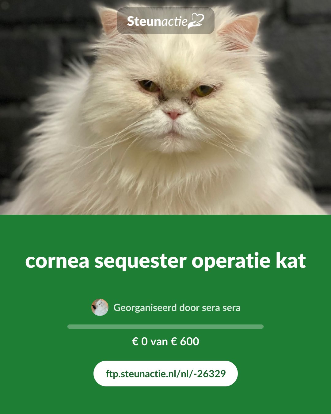 Voorbeeld van de afbeelding