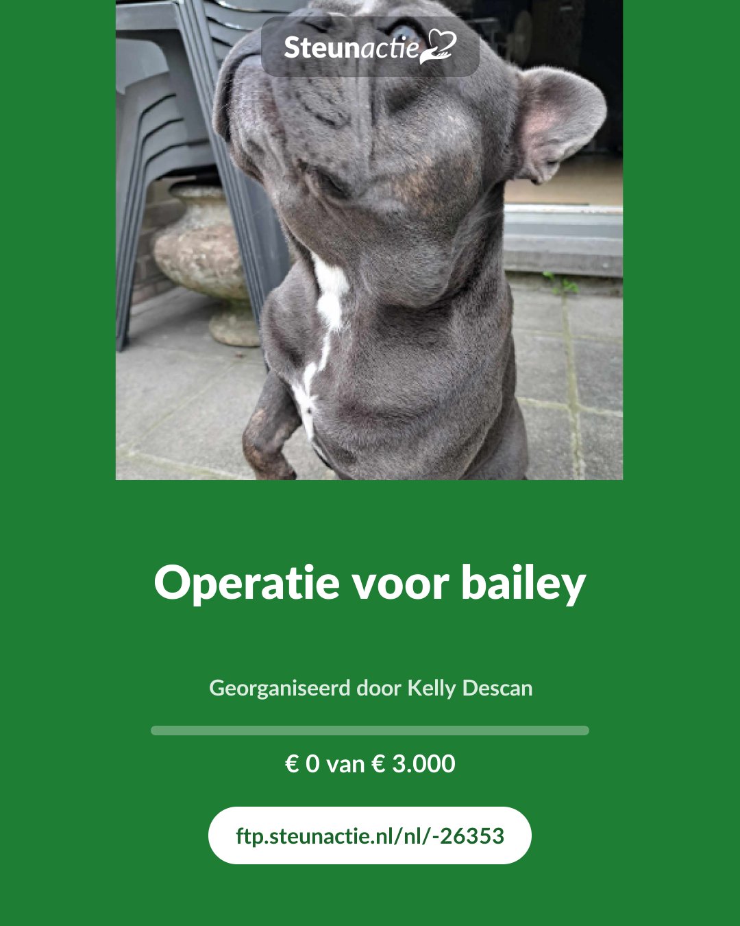 Voorbeeld van de afbeelding
