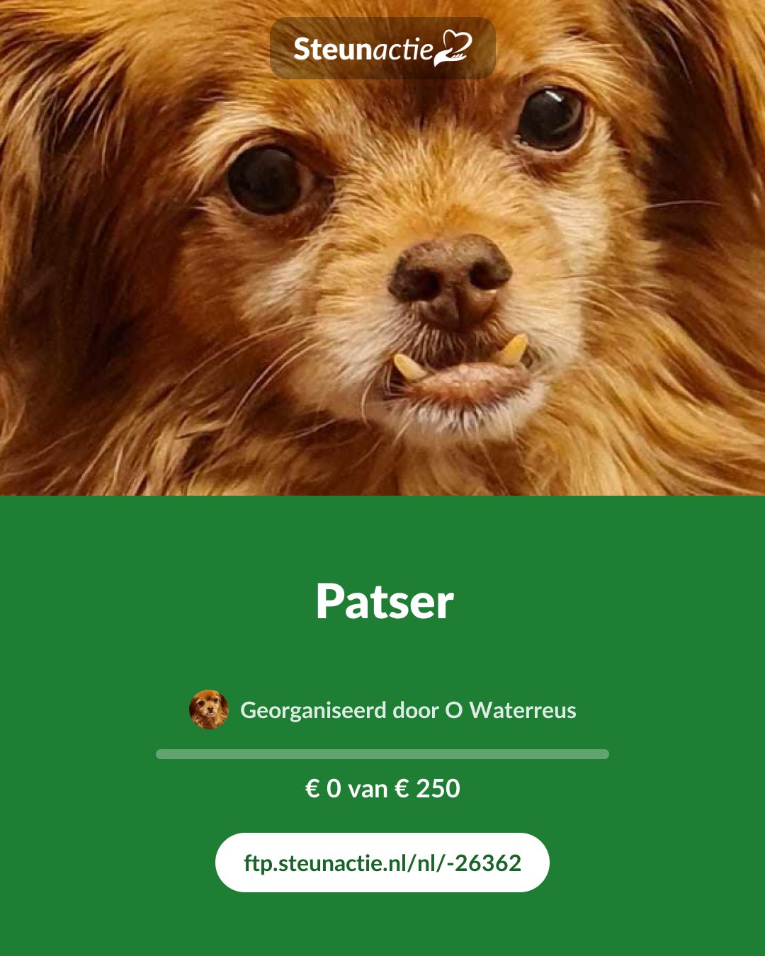 Voorbeeld van de afbeelding