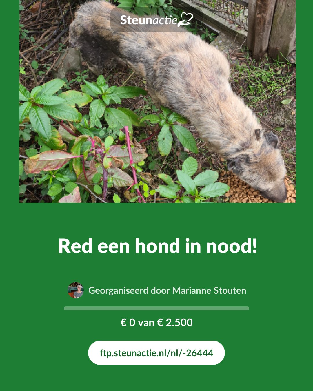 Voorbeeld van de afbeelding