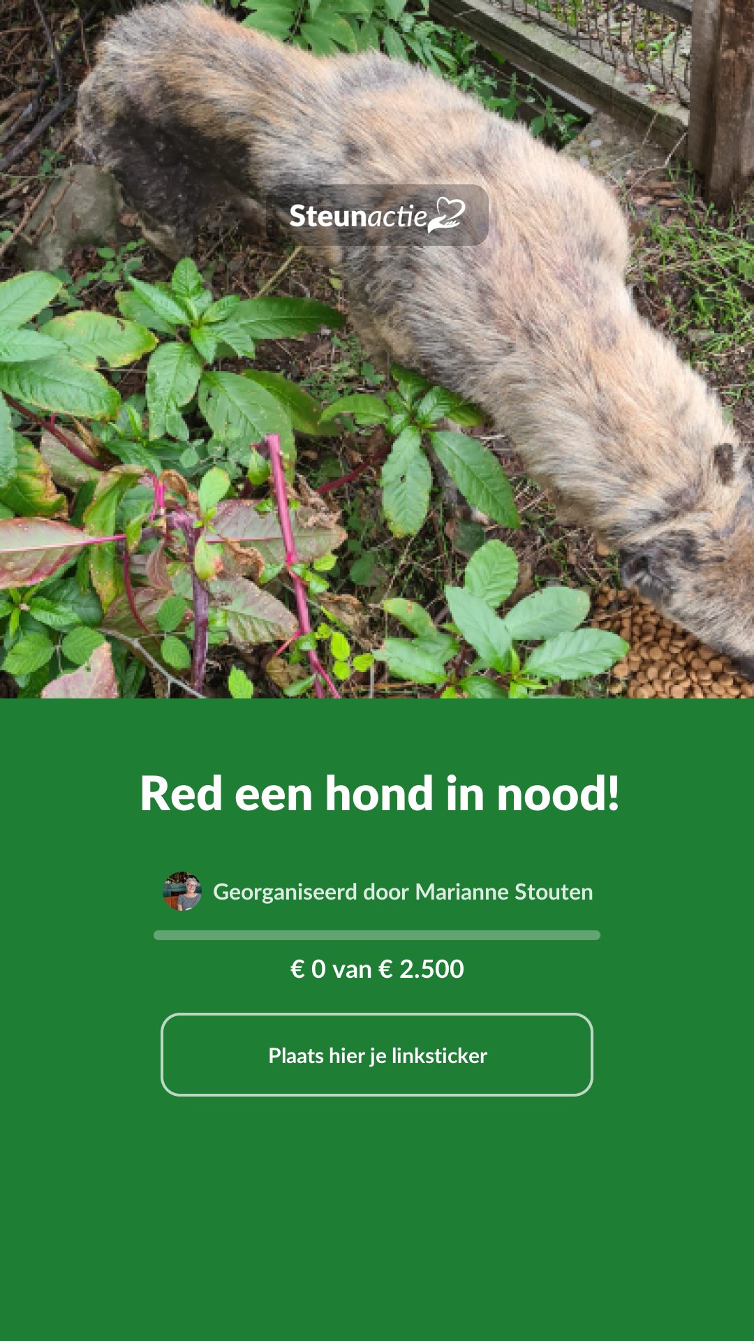 Voorbeeld van de afbeelding