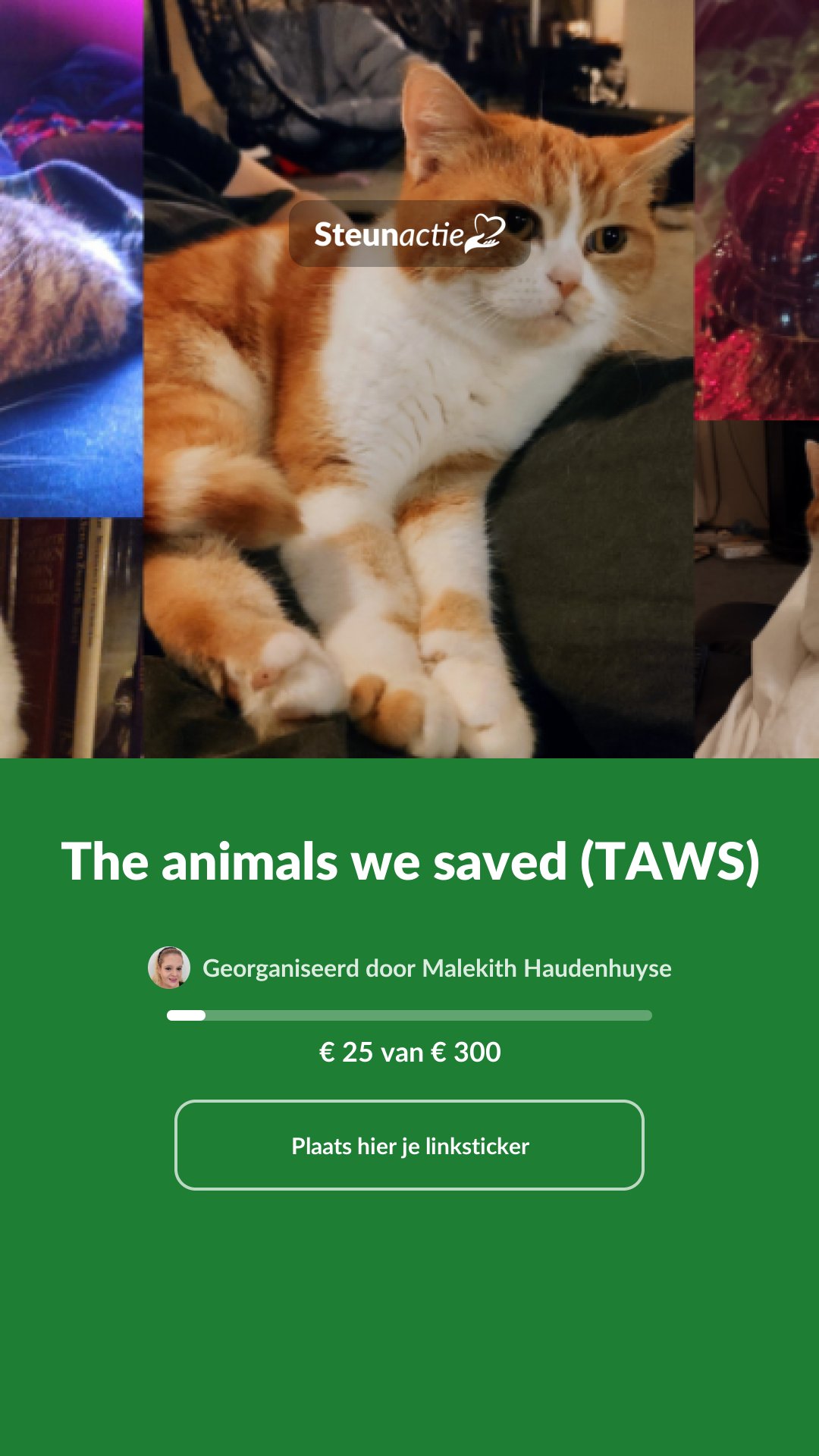 Voorbeeld van de afbeelding