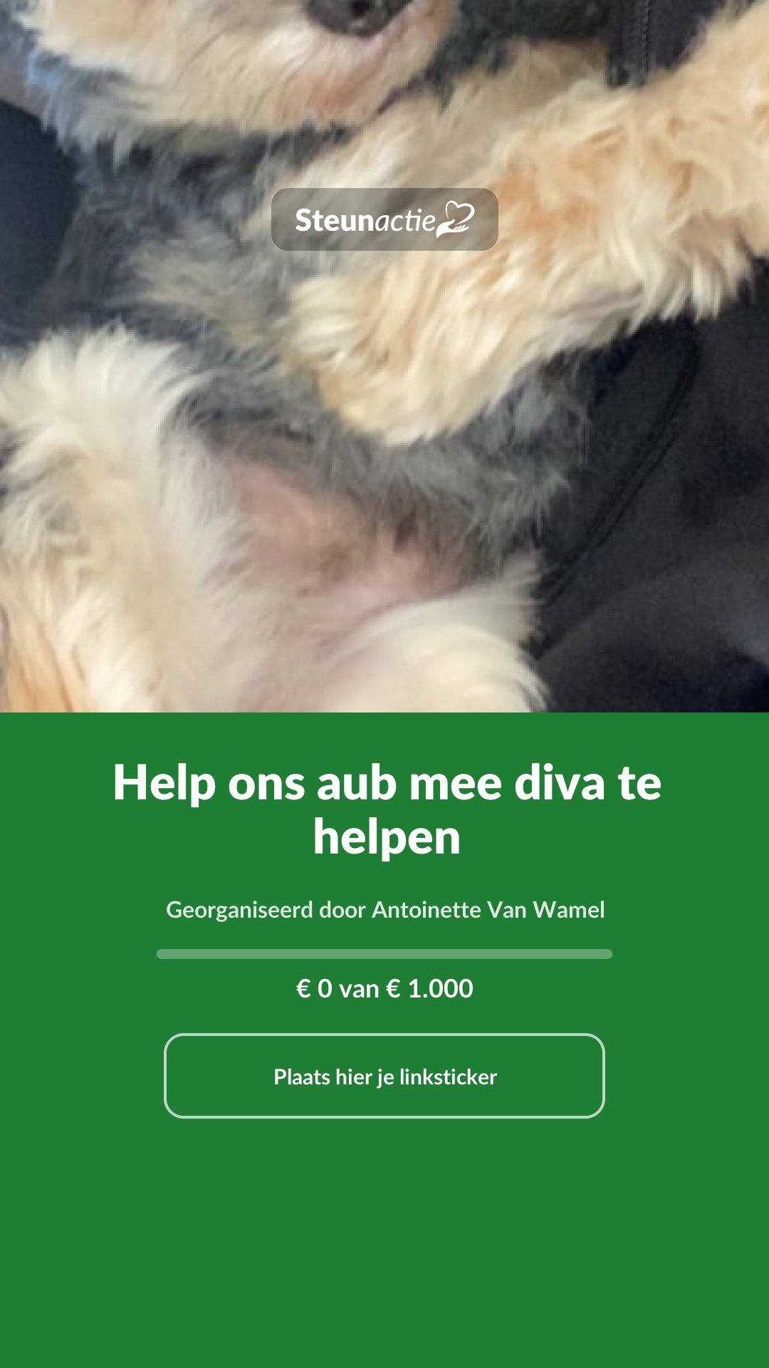 Voorbeeld van de afbeelding