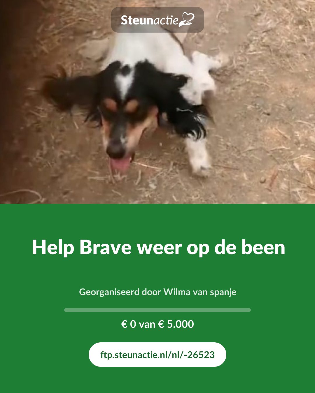 Voorbeeld van de afbeelding
