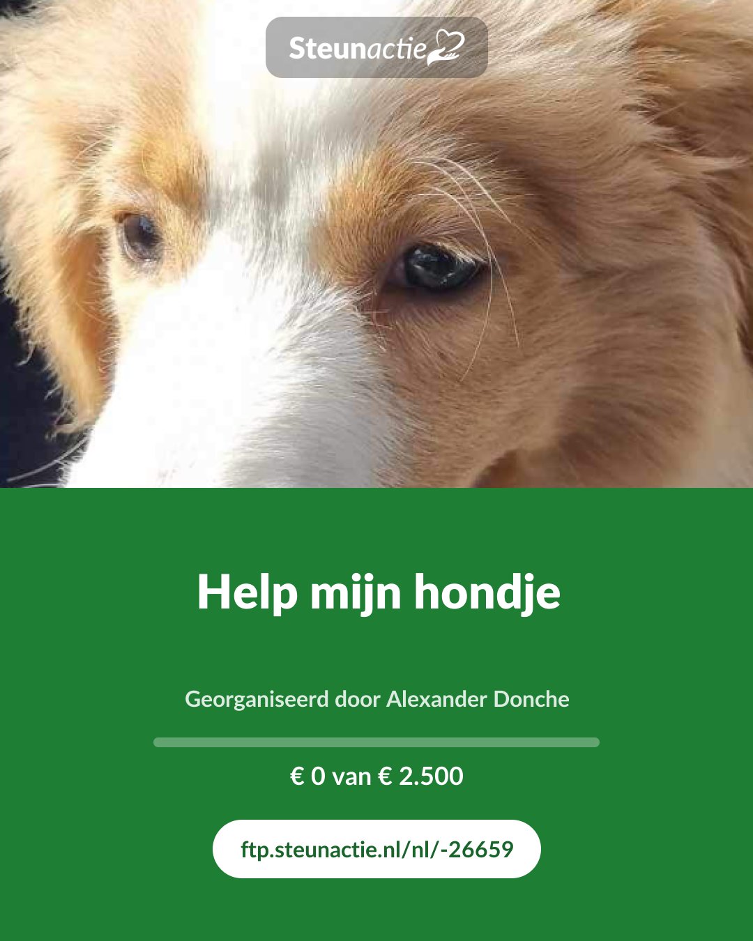 Voorbeeld van de afbeelding
