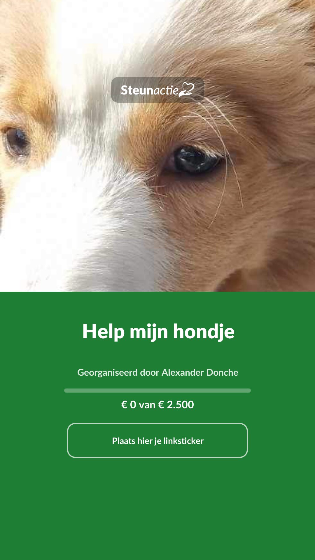 Voorbeeld van de afbeelding