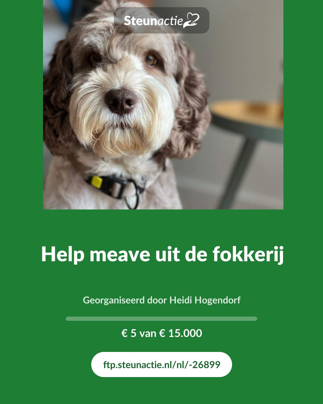 Voorbeeld van de afbeelding