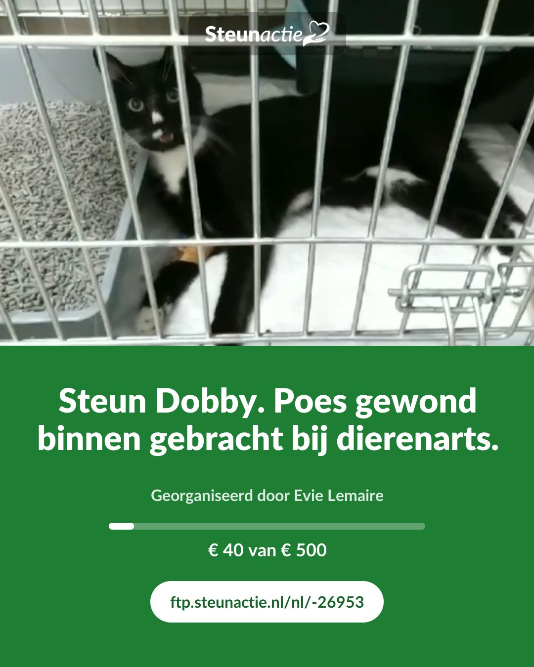 Voorbeeld van de afbeelding