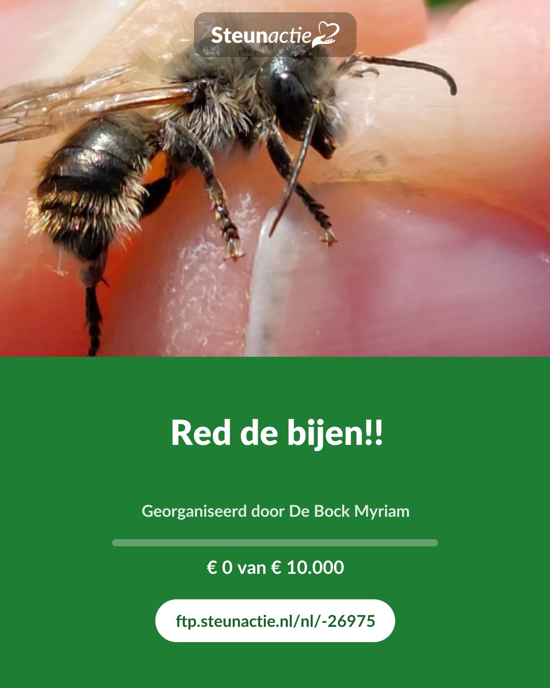 Voorbeeld van de afbeelding