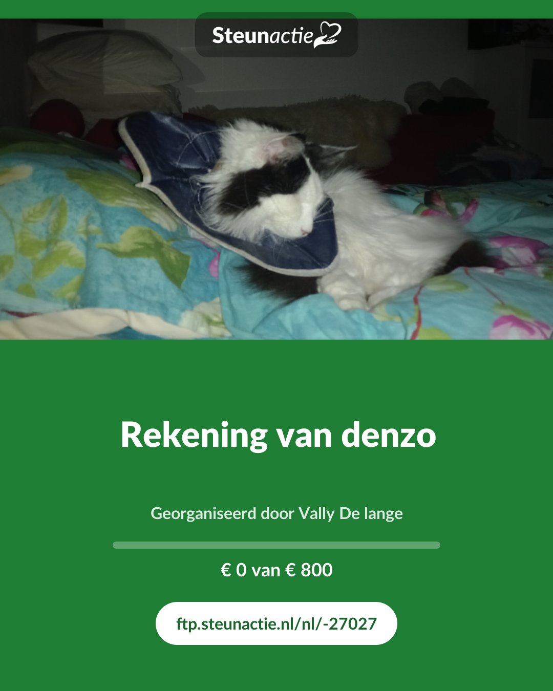 Voorbeeld van de afbeelding