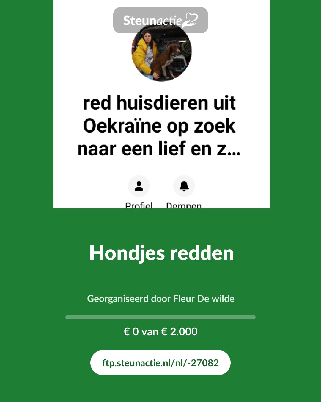 Voorbeeld van de afbeelding