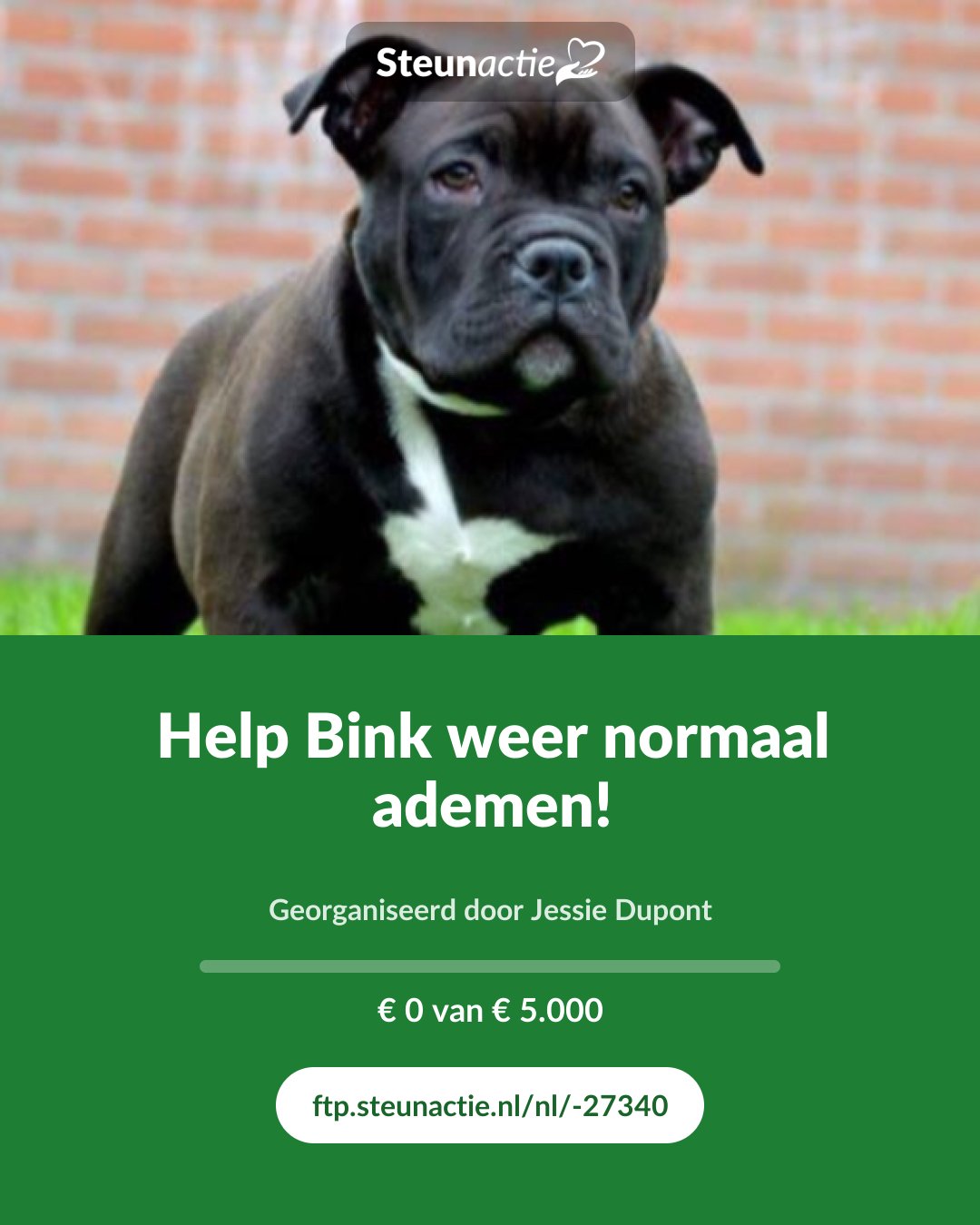 Voorbeeld van de afbeelding