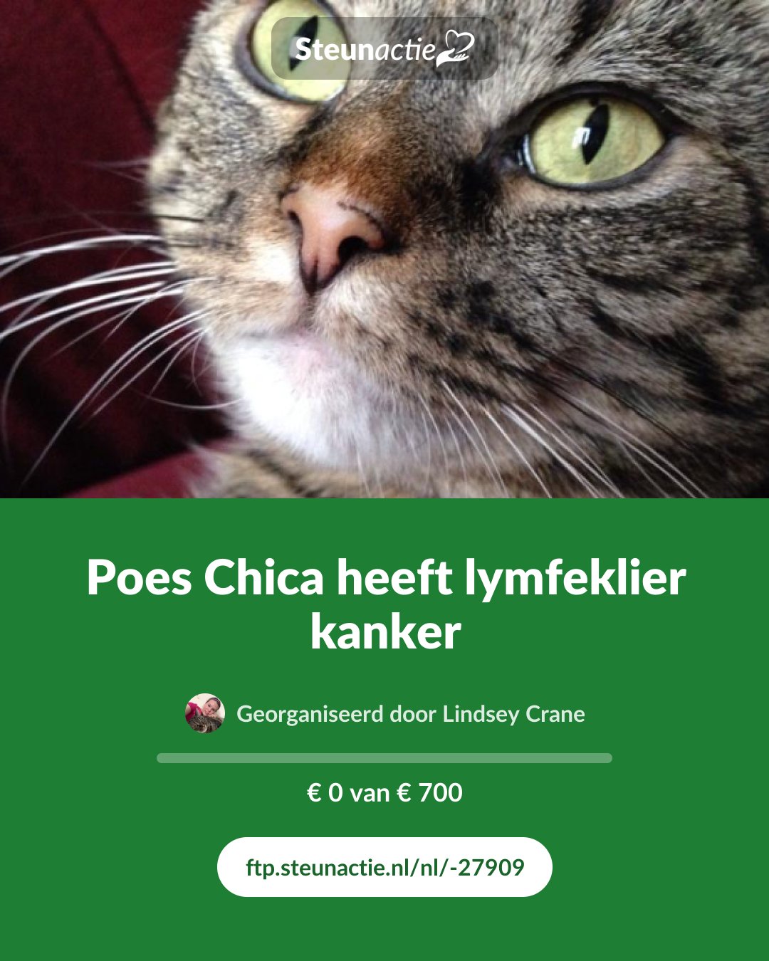 Voorbeeld van de afbeelding