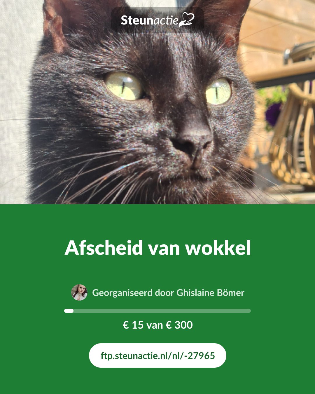 Voorbeeld van de afbeelding