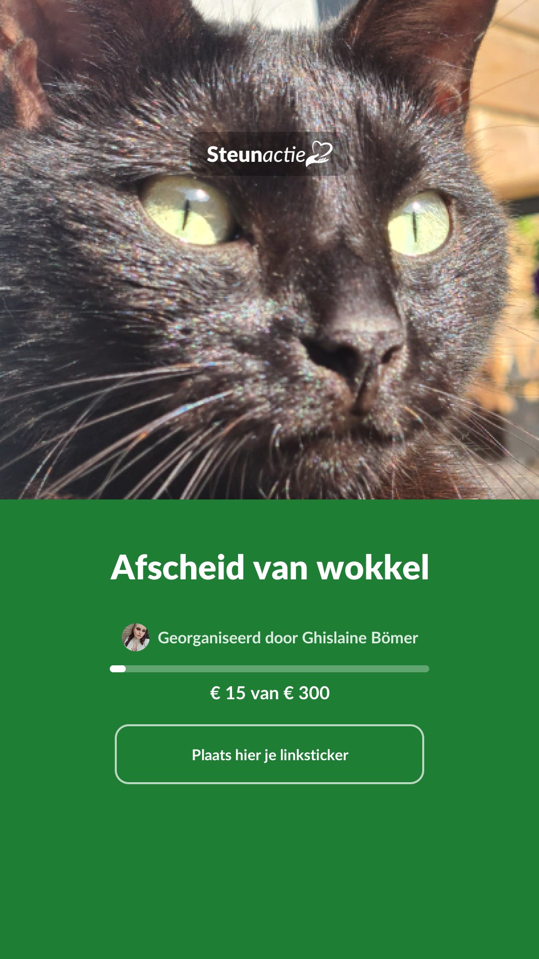 Voorbeeld van de afbeelding