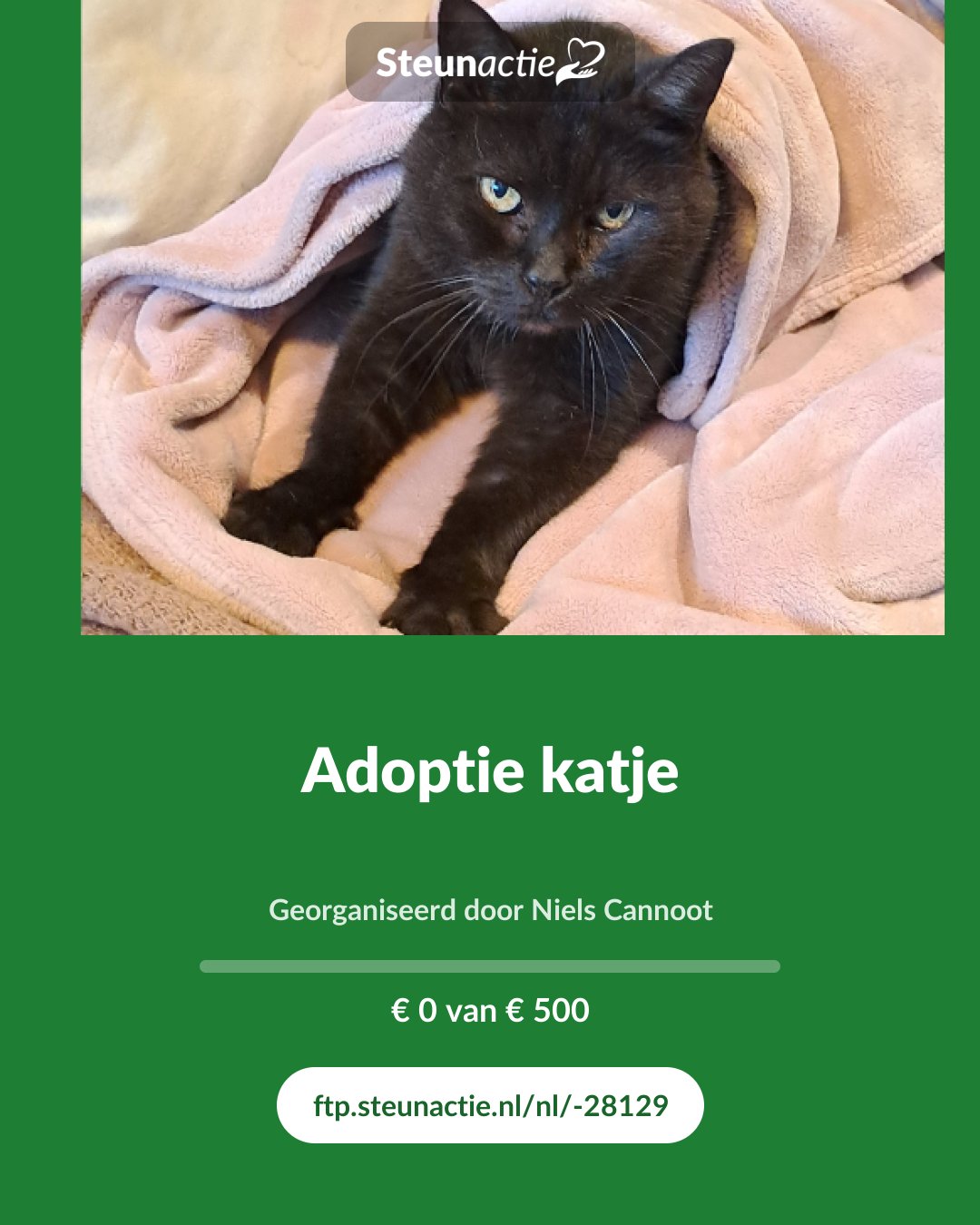 Voorbeeld van de afbeelding