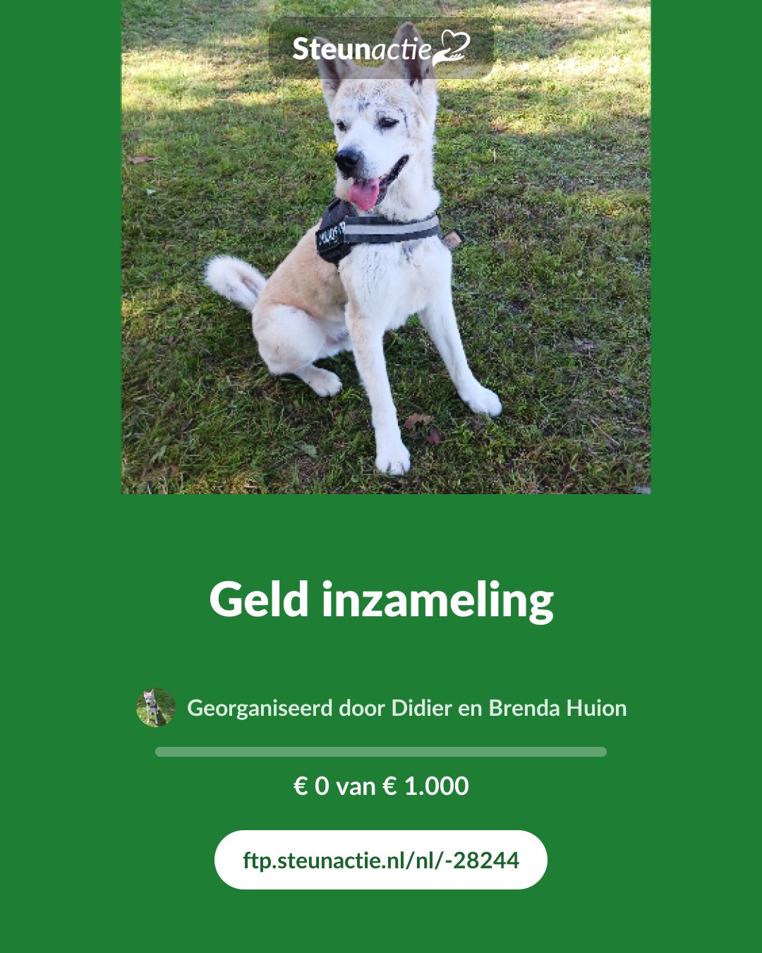Voorbeeld van de afbeelding