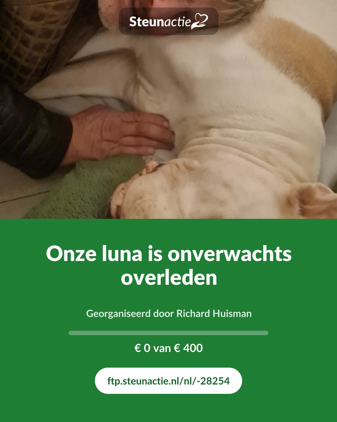 Voorbeeld van de afbeelding
