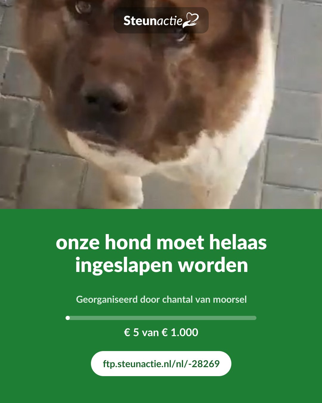 Voorbeeld van de afbeelding