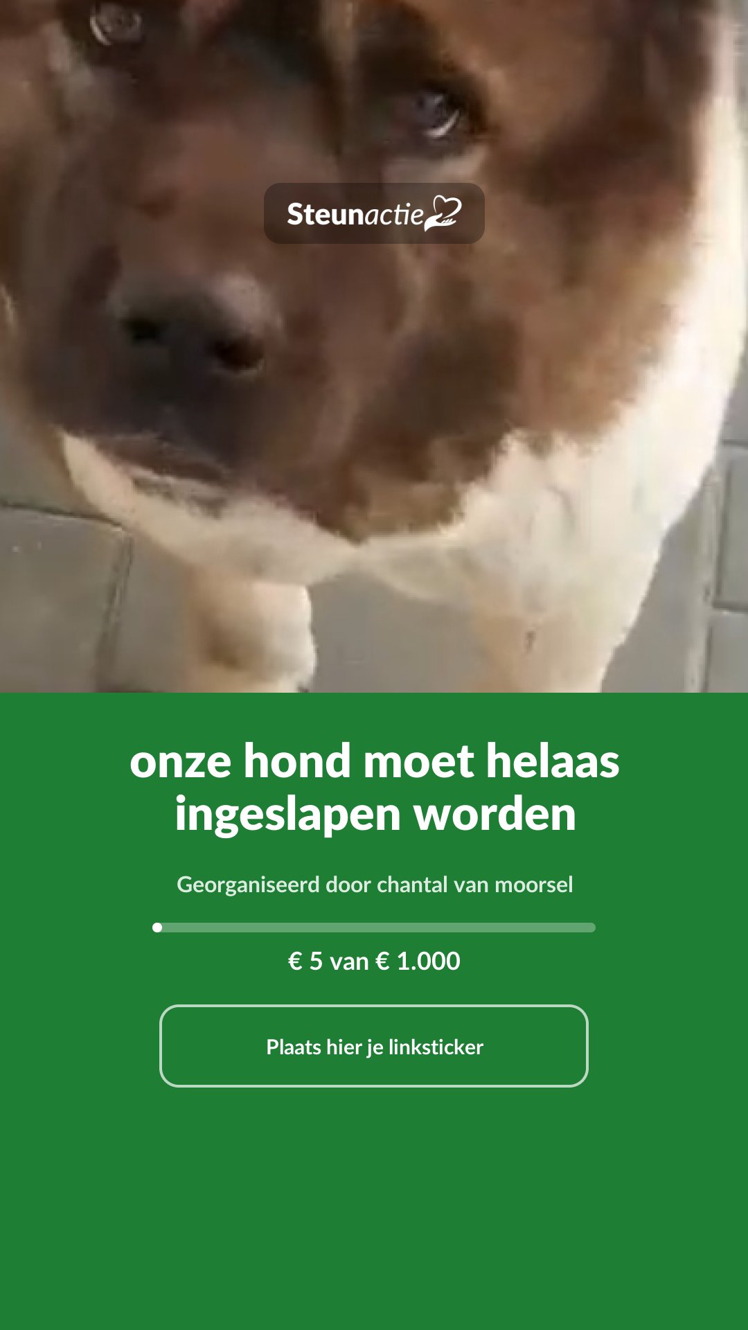 Voorbeeld van de afbeelding