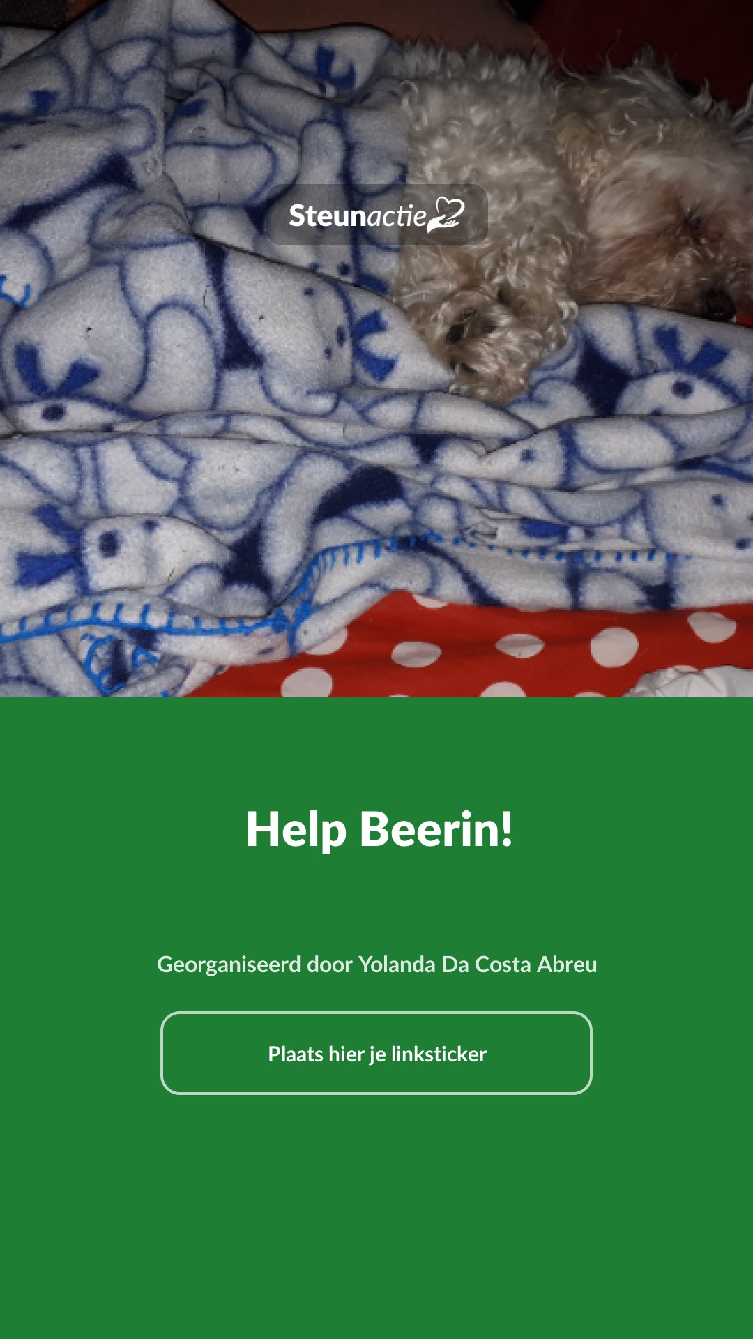 Voorbeeld van de afbeelding