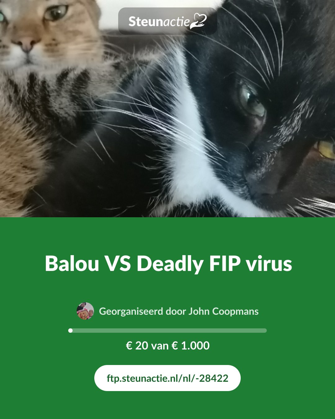 Voorbeeld van de afbeelding