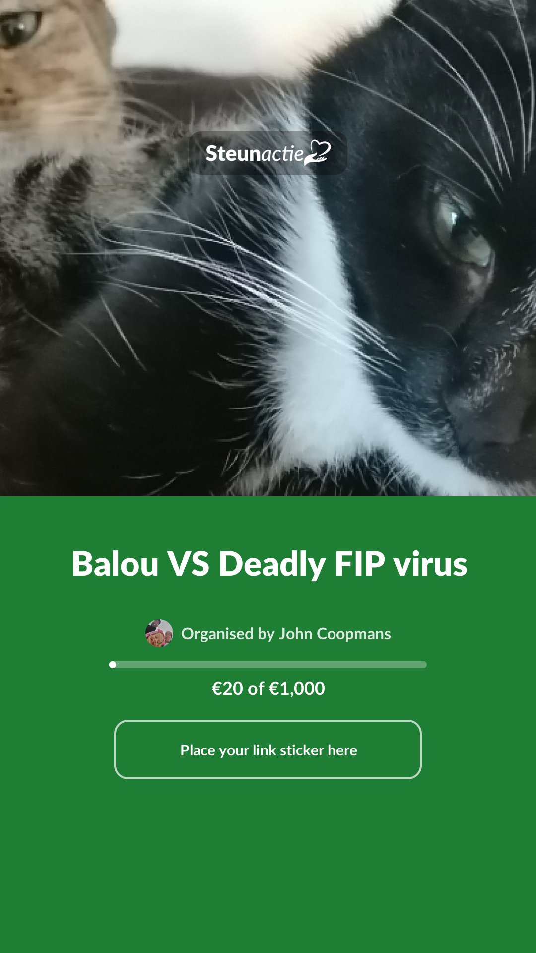 Preview of the image