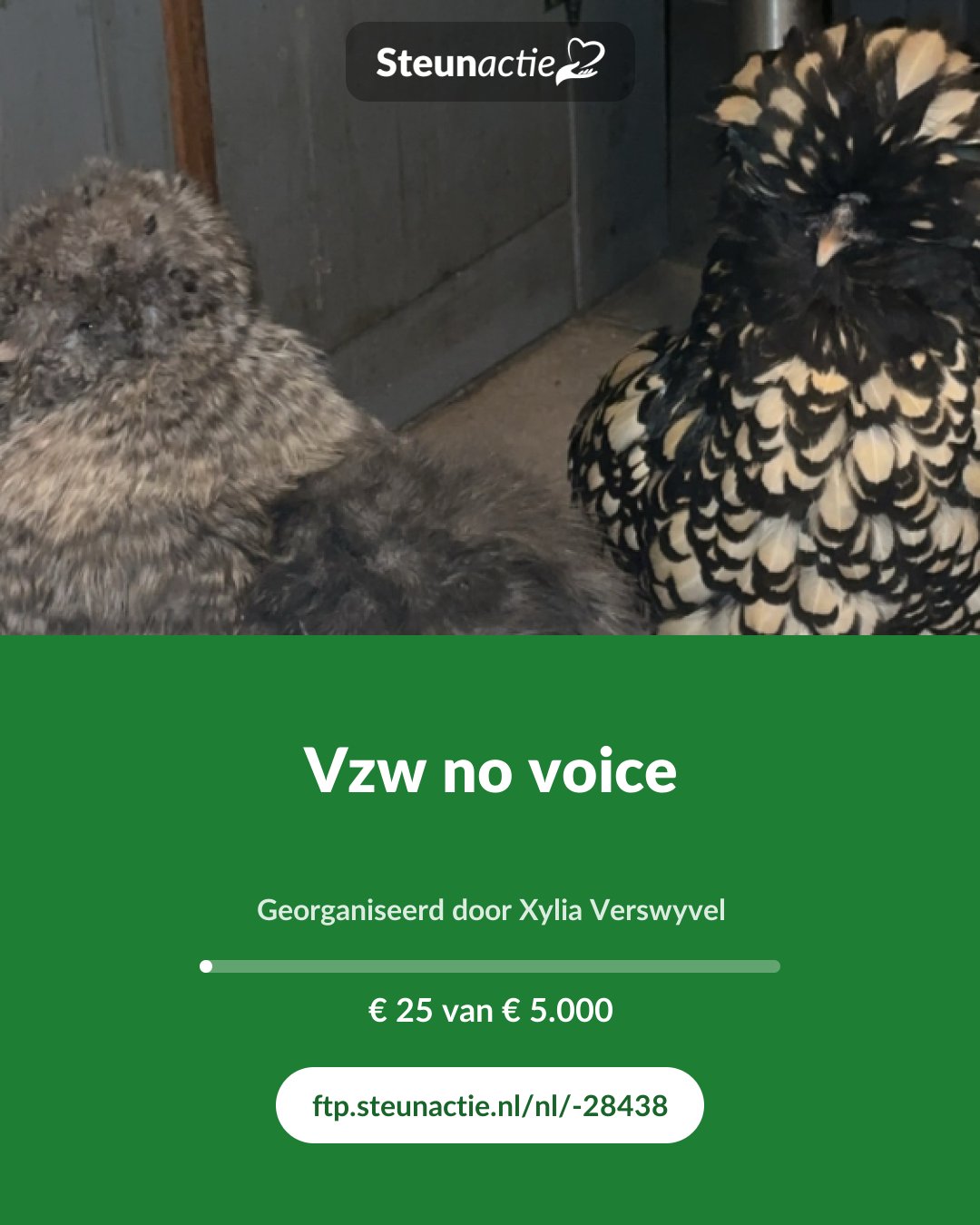 Voorbeeld van de afbeelding