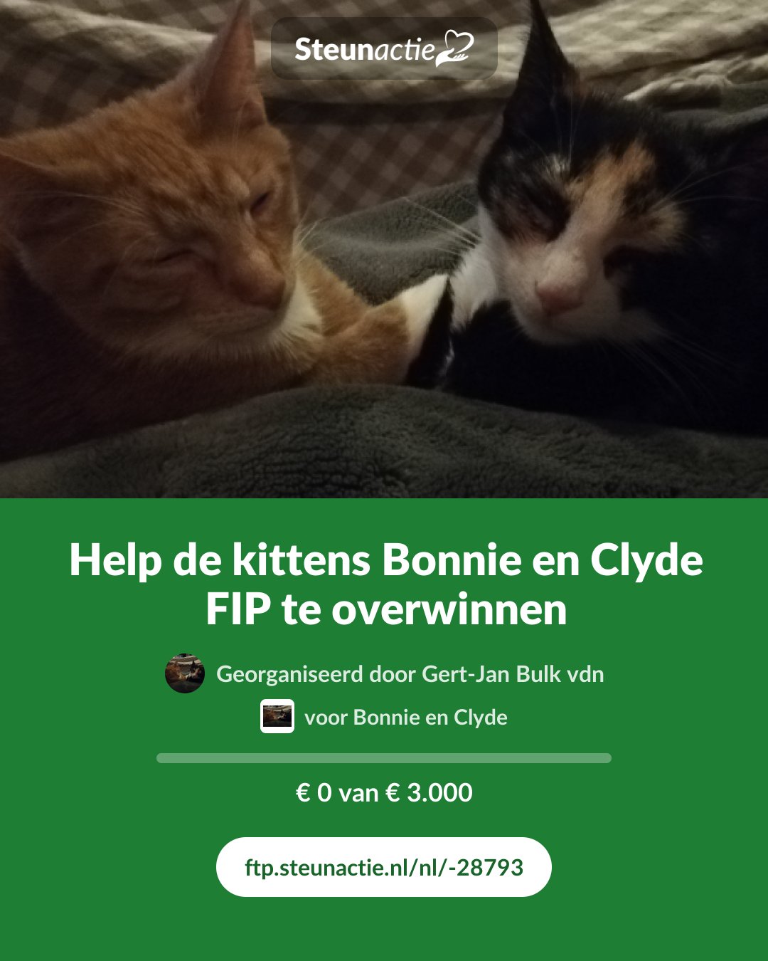 Voorbeeld van de afbeelding