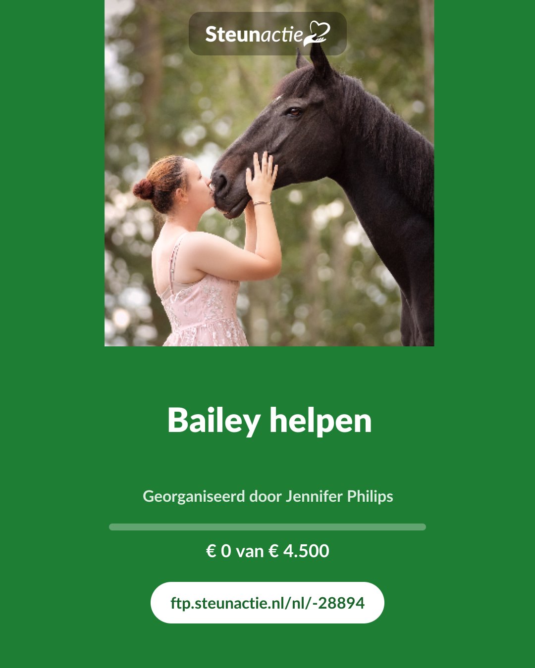 Voorbeeld van de afbeelding
