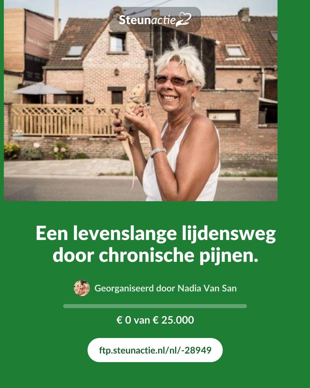Voorbeeld van de afbeelding