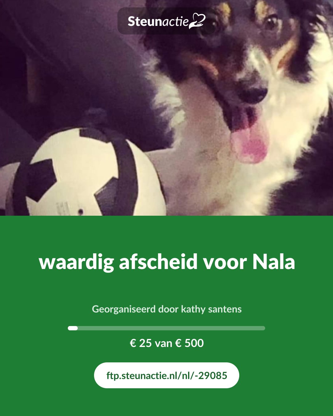 Voorbeeld van de afbeelding
