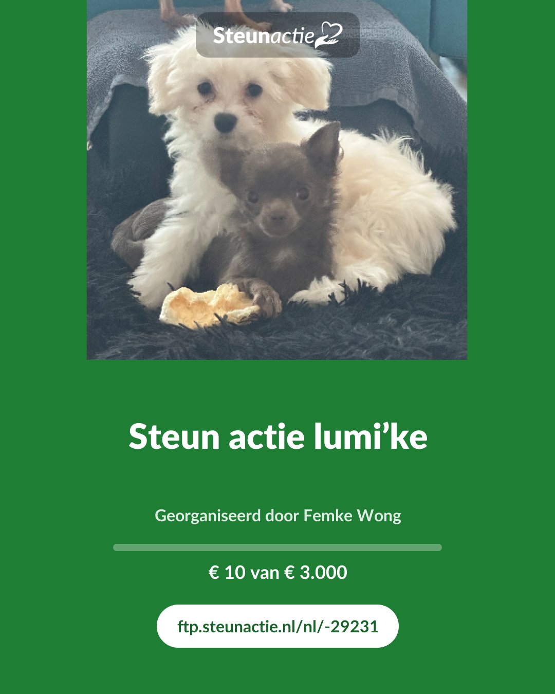 Voorbeeld van de afbeelding