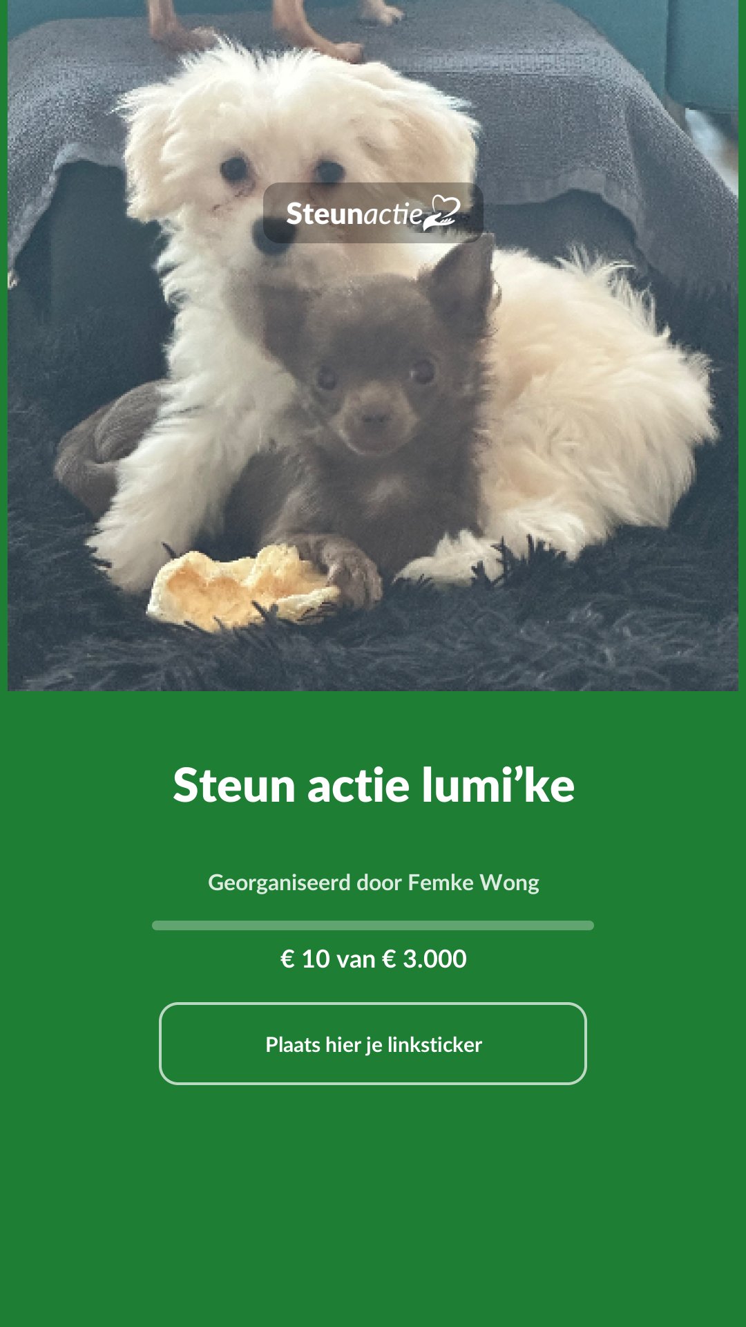 Voorbeeld van de afbeelding