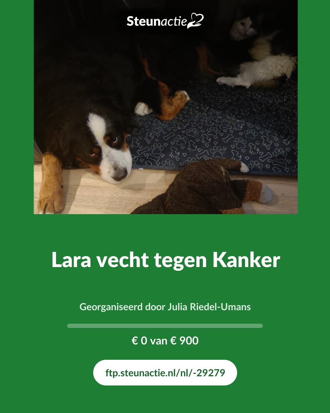 Voorbeeld van de afbeelding
