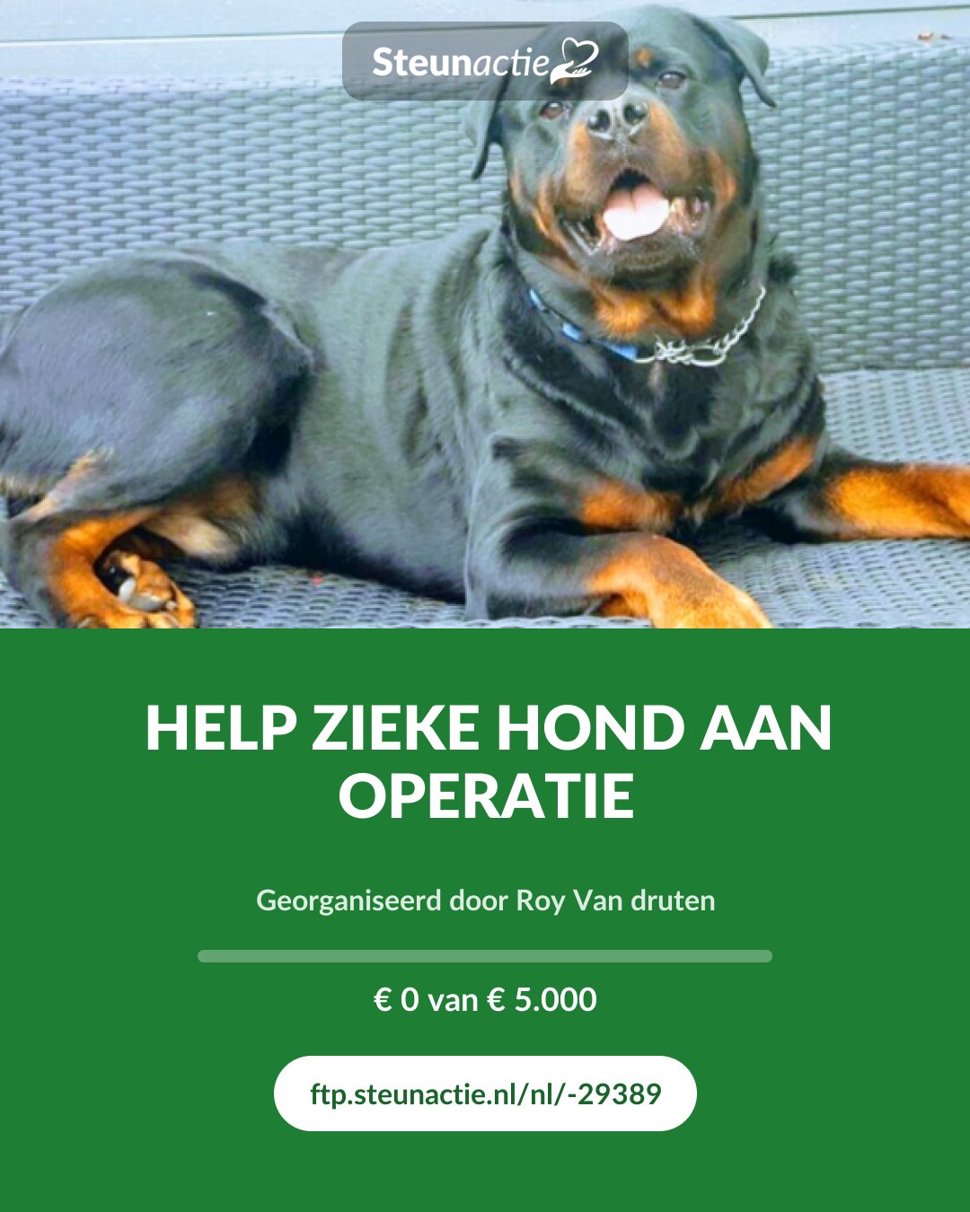 Voorbeeld van de afbeelding