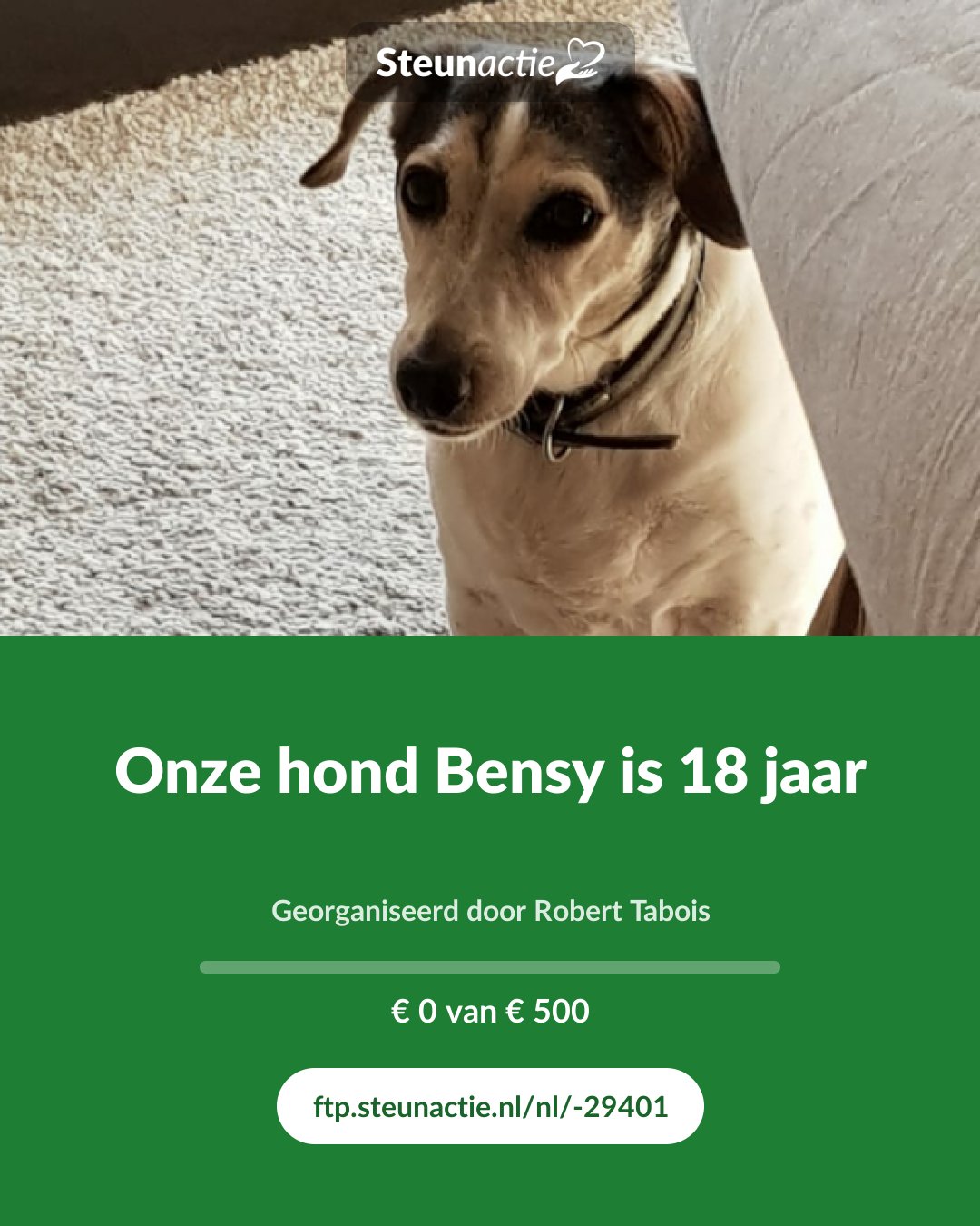 Voorbeeld van de afbeelding