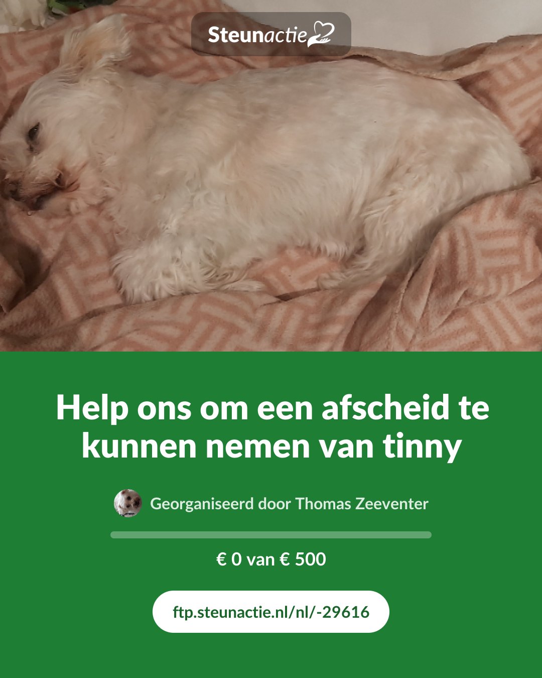 Voorbeeld van de afbeelding