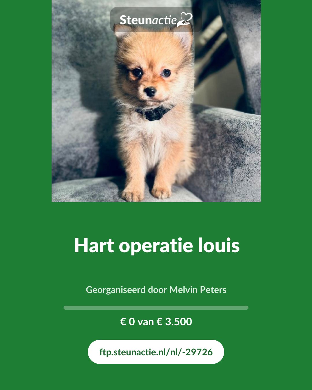 Voorbeeld van de afbeelding