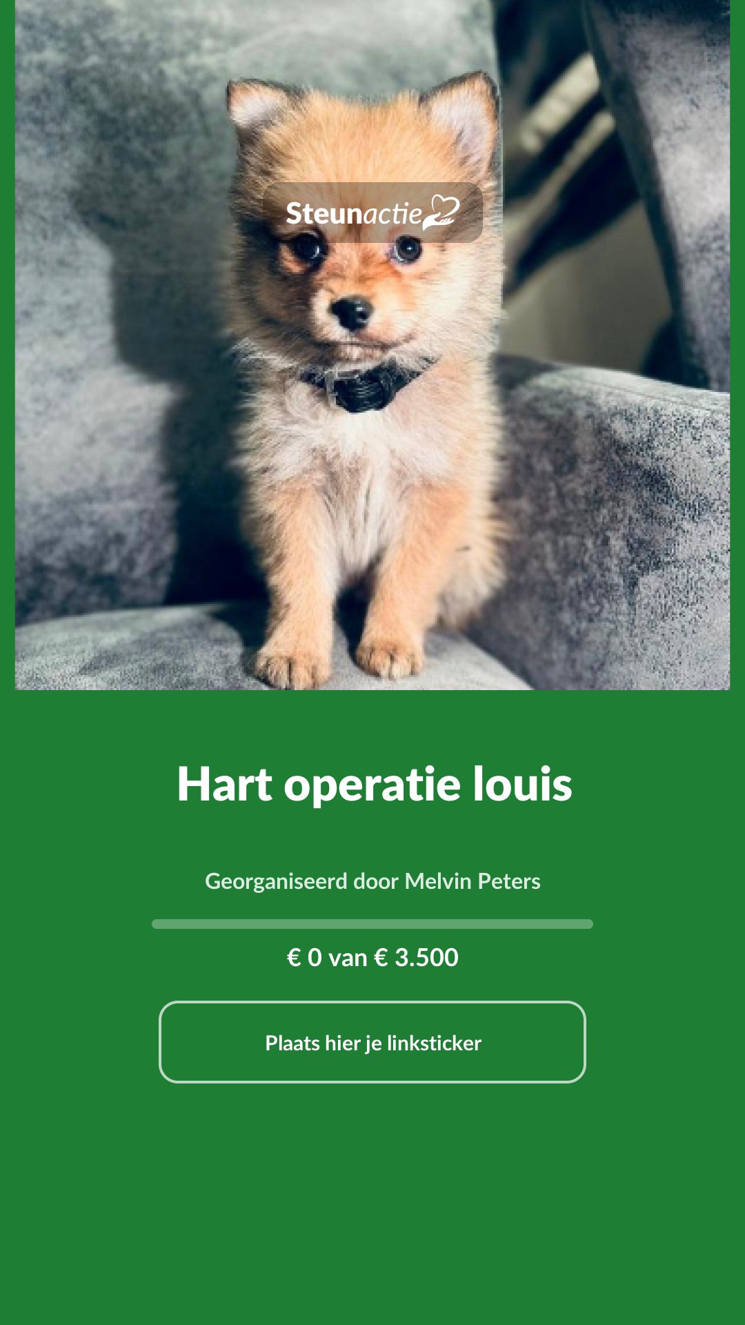 Voorbeeld van de afbeelding