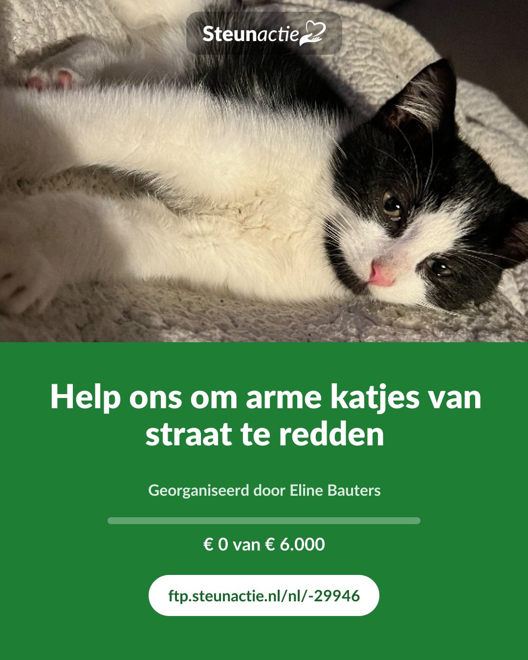 Voorbeeld van de afbeelding