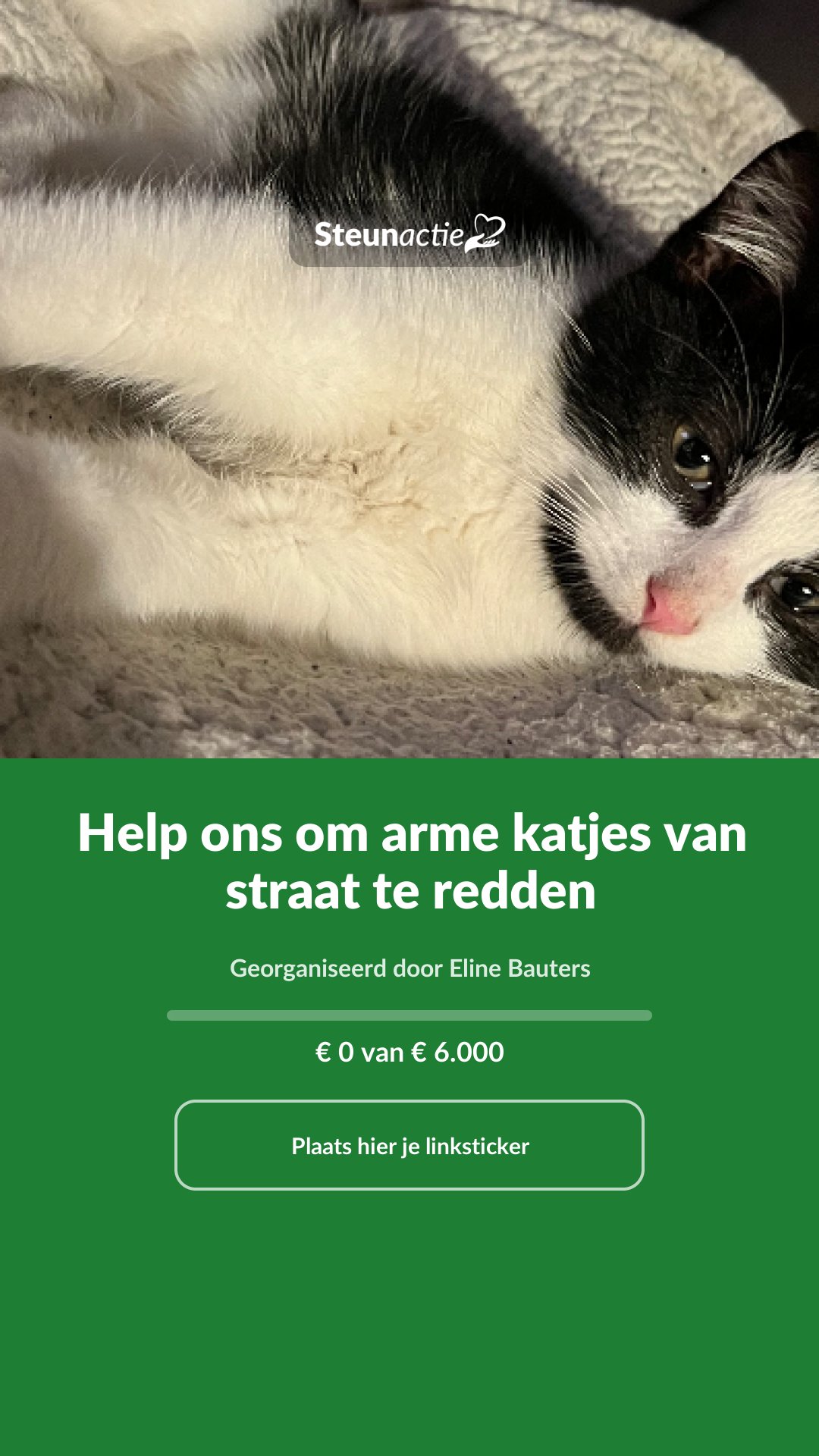 Voorbeeld van de afbeelding