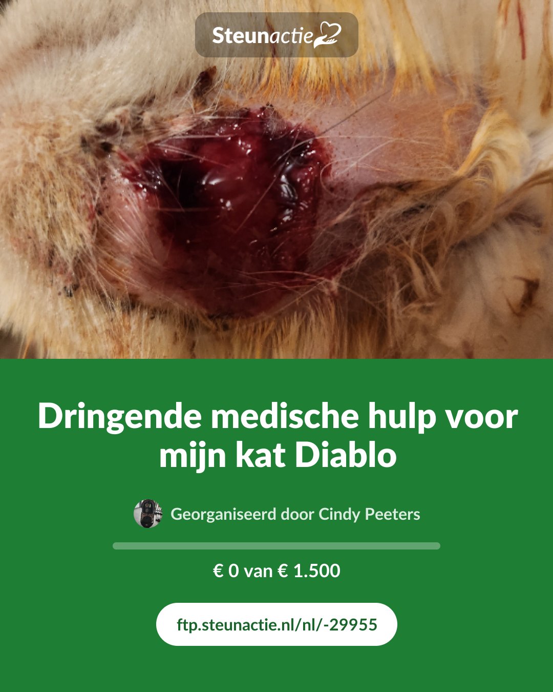 Voorbeeld van de afbeelding