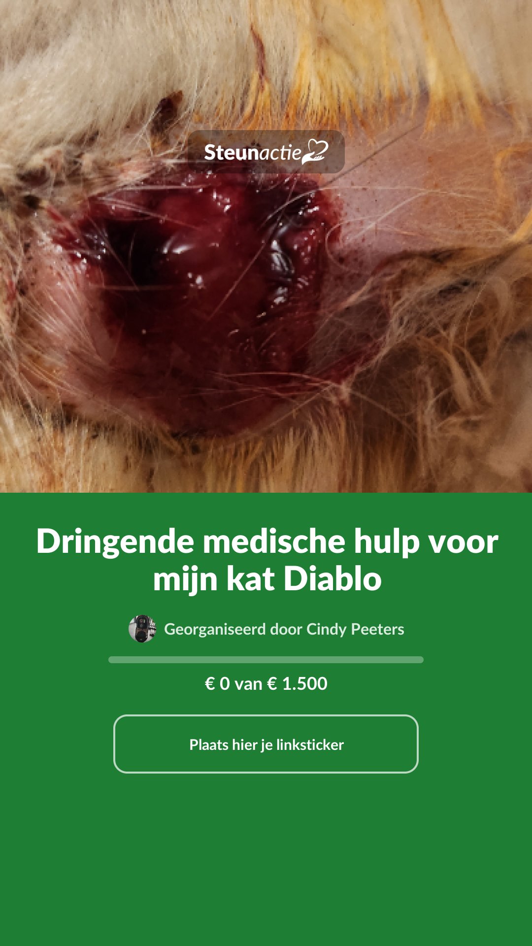 Voorbeeld van de afbeelding