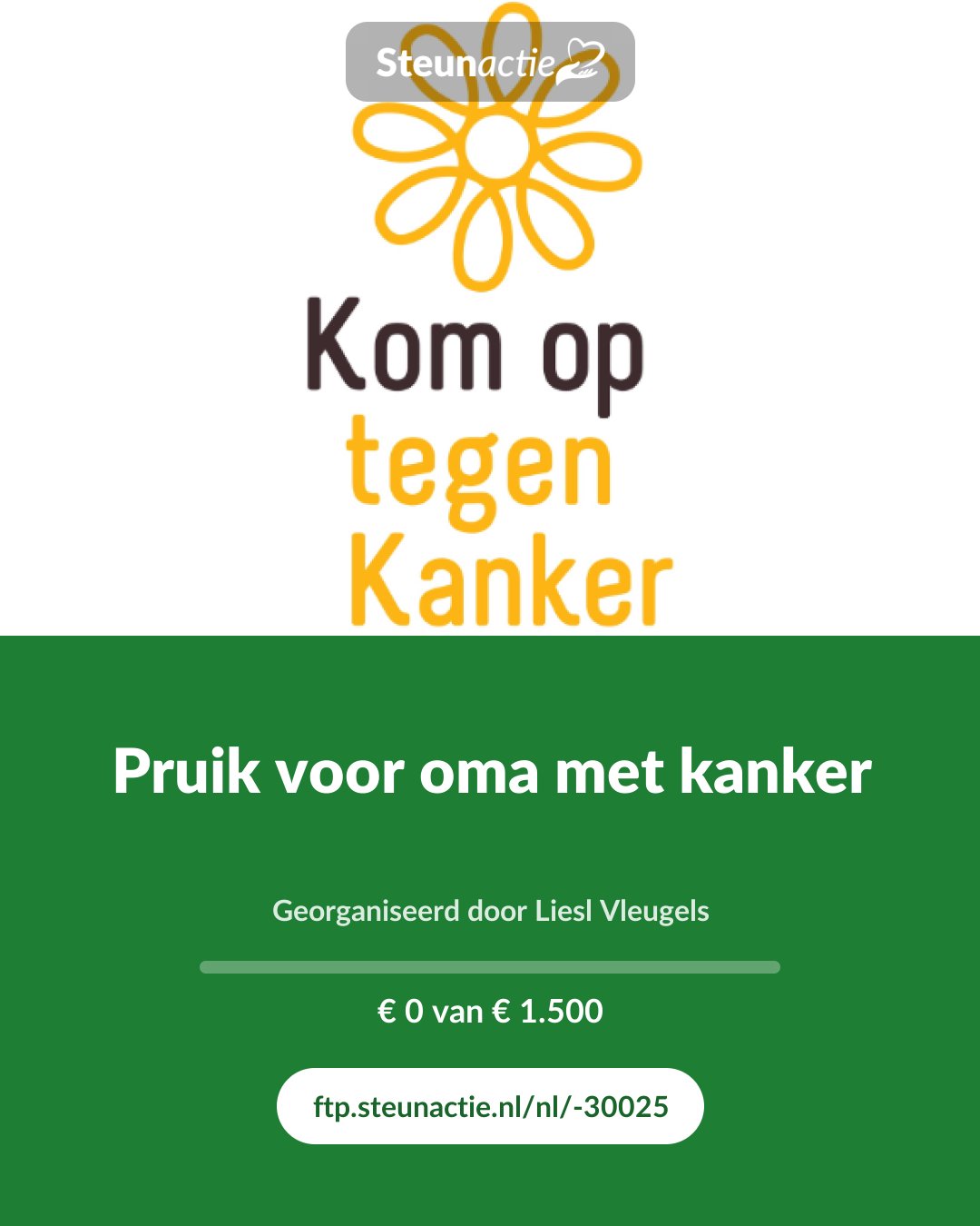 Voorbeeld van de afbeelding