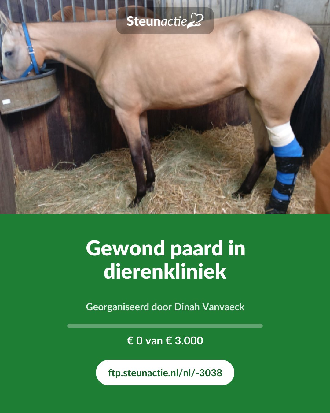 Voorbeeld van de afbeelding