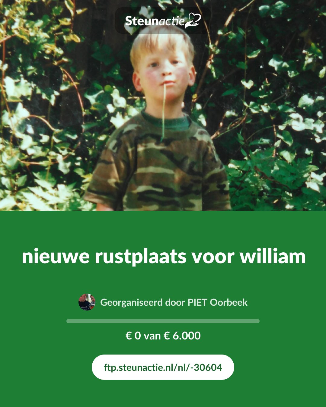 Voorbeeld van de afbeelding
