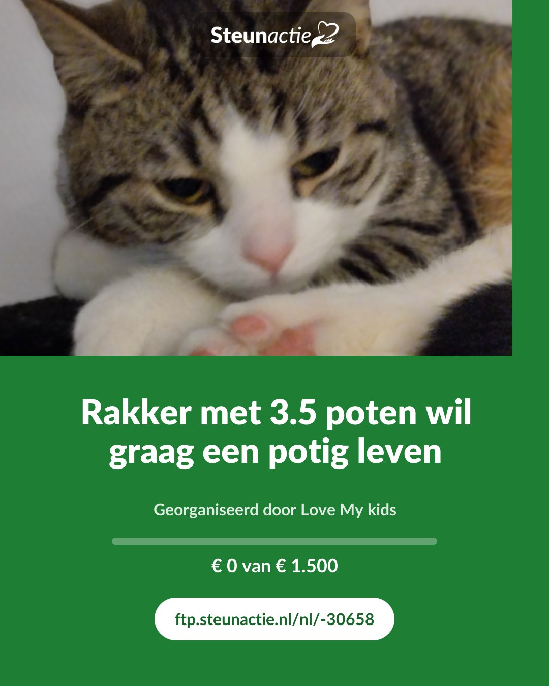 Voorbeeld van de afbeelding